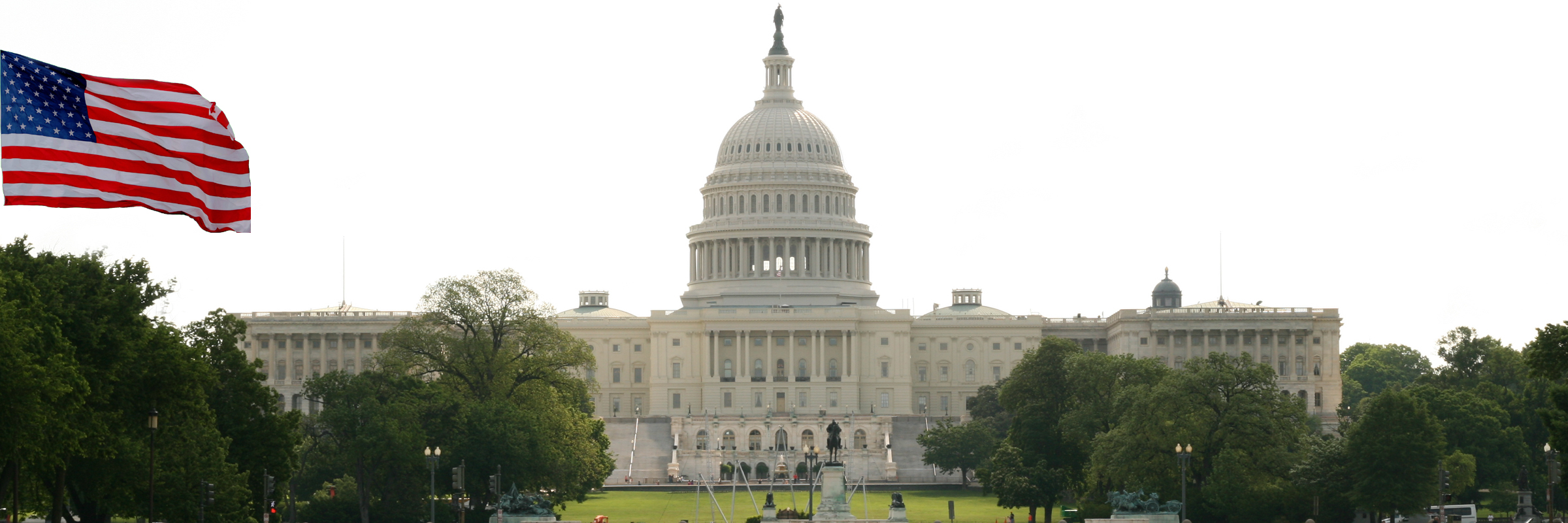 America Unity Capitol Flag