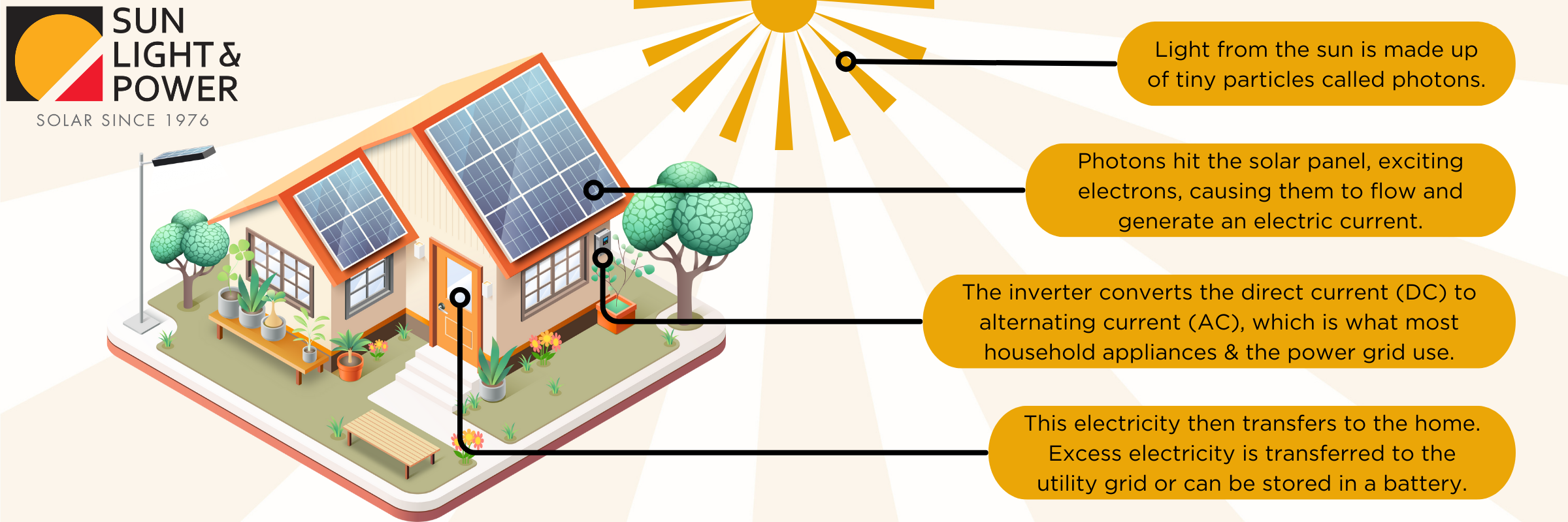 Solar Panel Infographic 