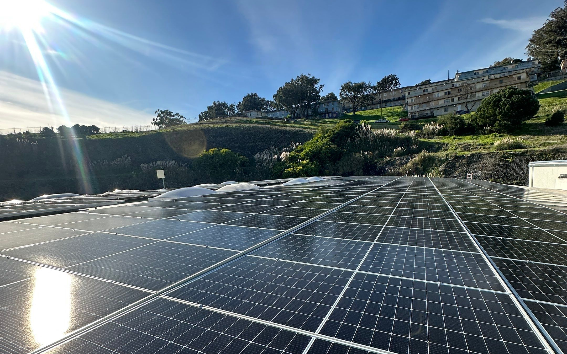 San Francisco Food Bank Rooftop Solar