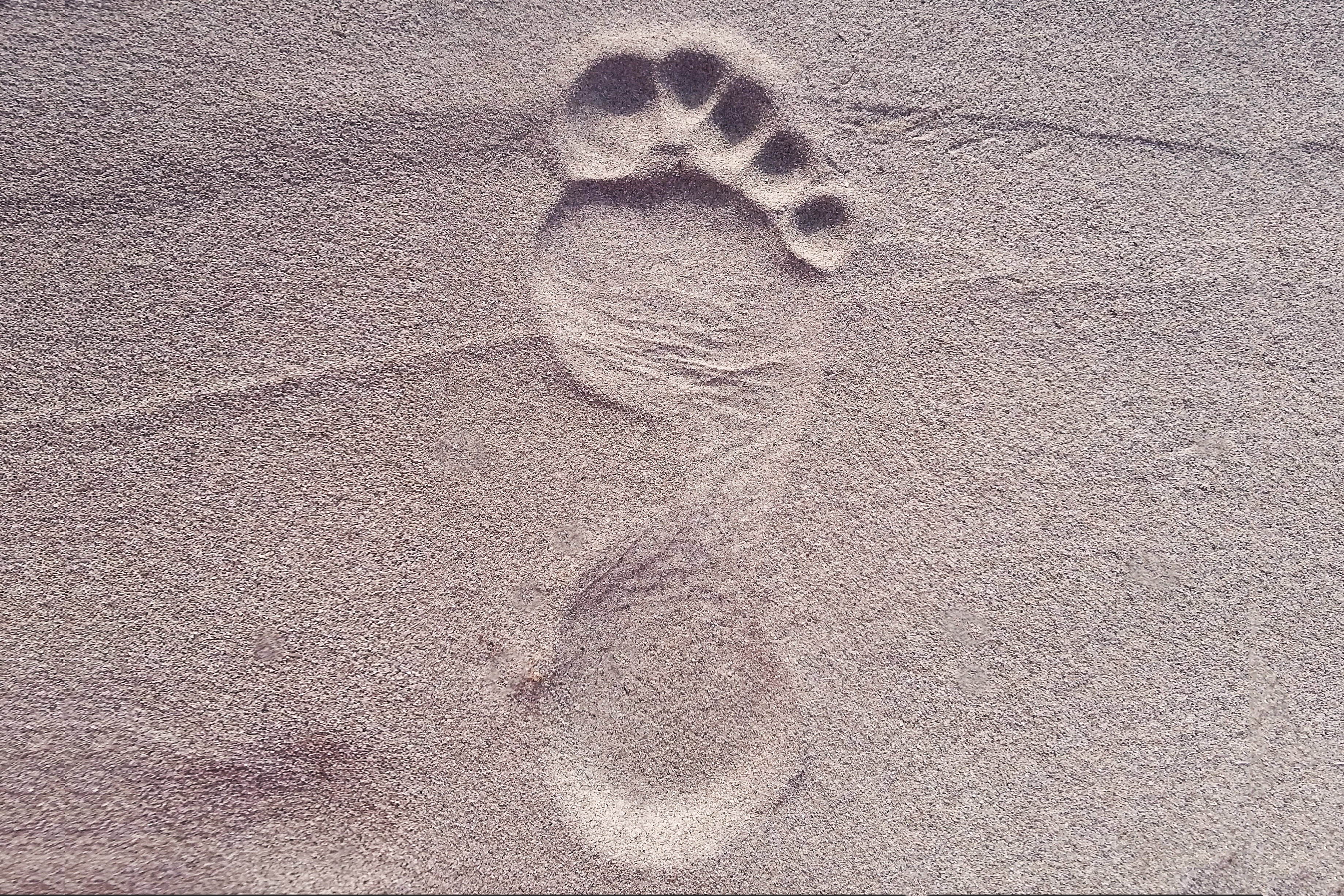 Footprint in the sand