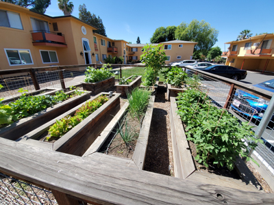 Arden Town Apts Garden