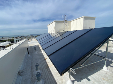 The Grinnell Collectors