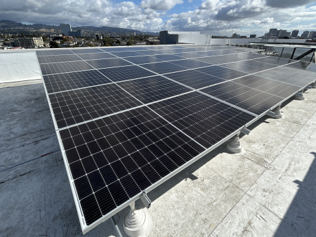 Nellie Hannon Rooftop Solar