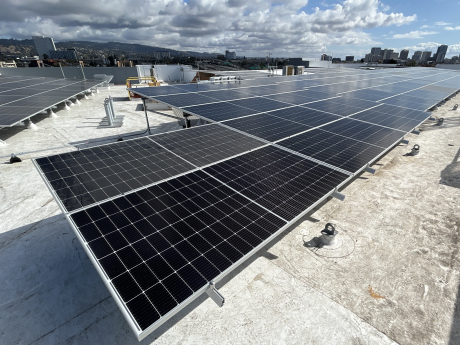 Nellie Hannon Rooftop Solar