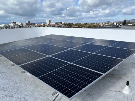 Nellie Hannon Rooftop Solar